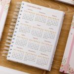 Agenda Agendamento Manicure 2026