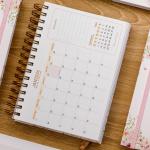 Agenda Agendamento Paciente 2026