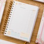 Agenda Agendamento Paciente 2026