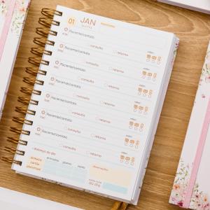 Agenda Agendamento Paciente 2026