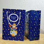 Sacola de Papel Personalizada