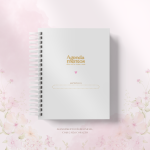 Agenda Agendamento Nail 2026